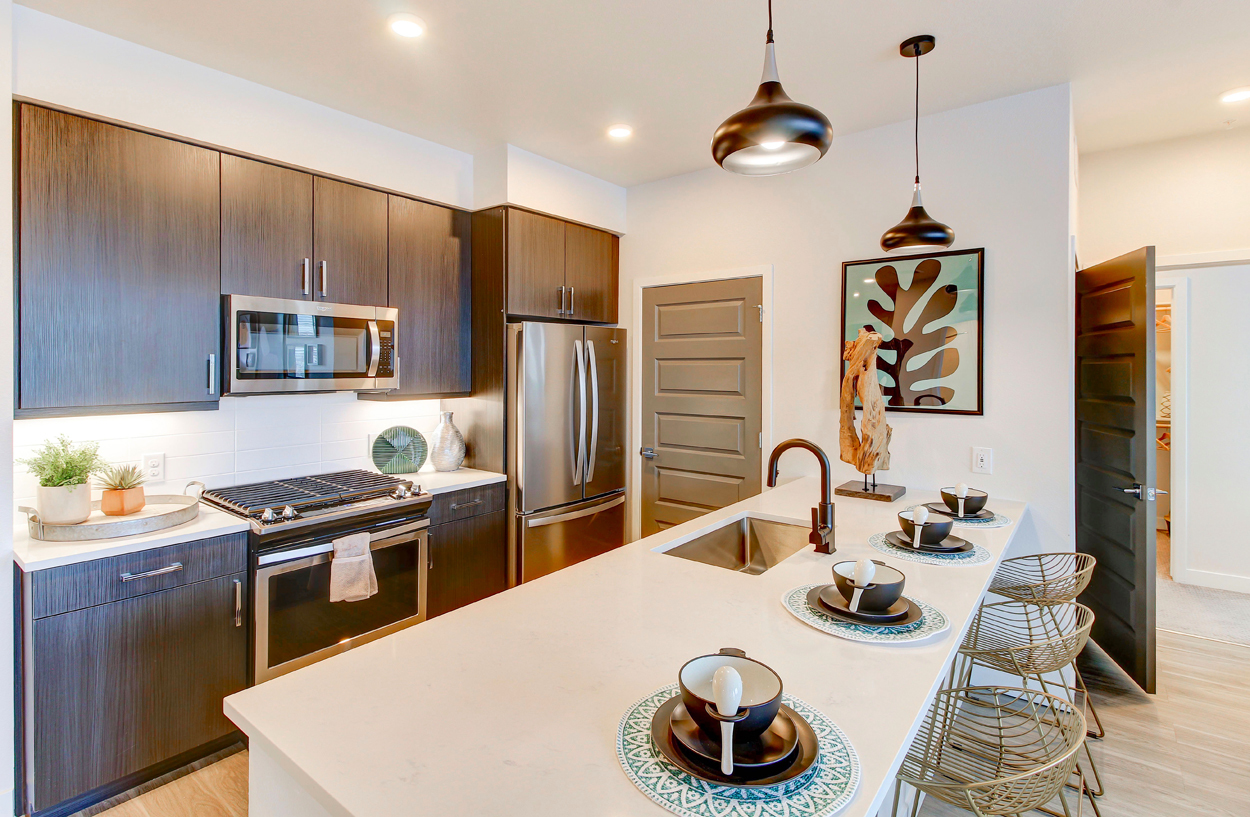 Apartments For Rent In Denver Canvas on Blake Amenities